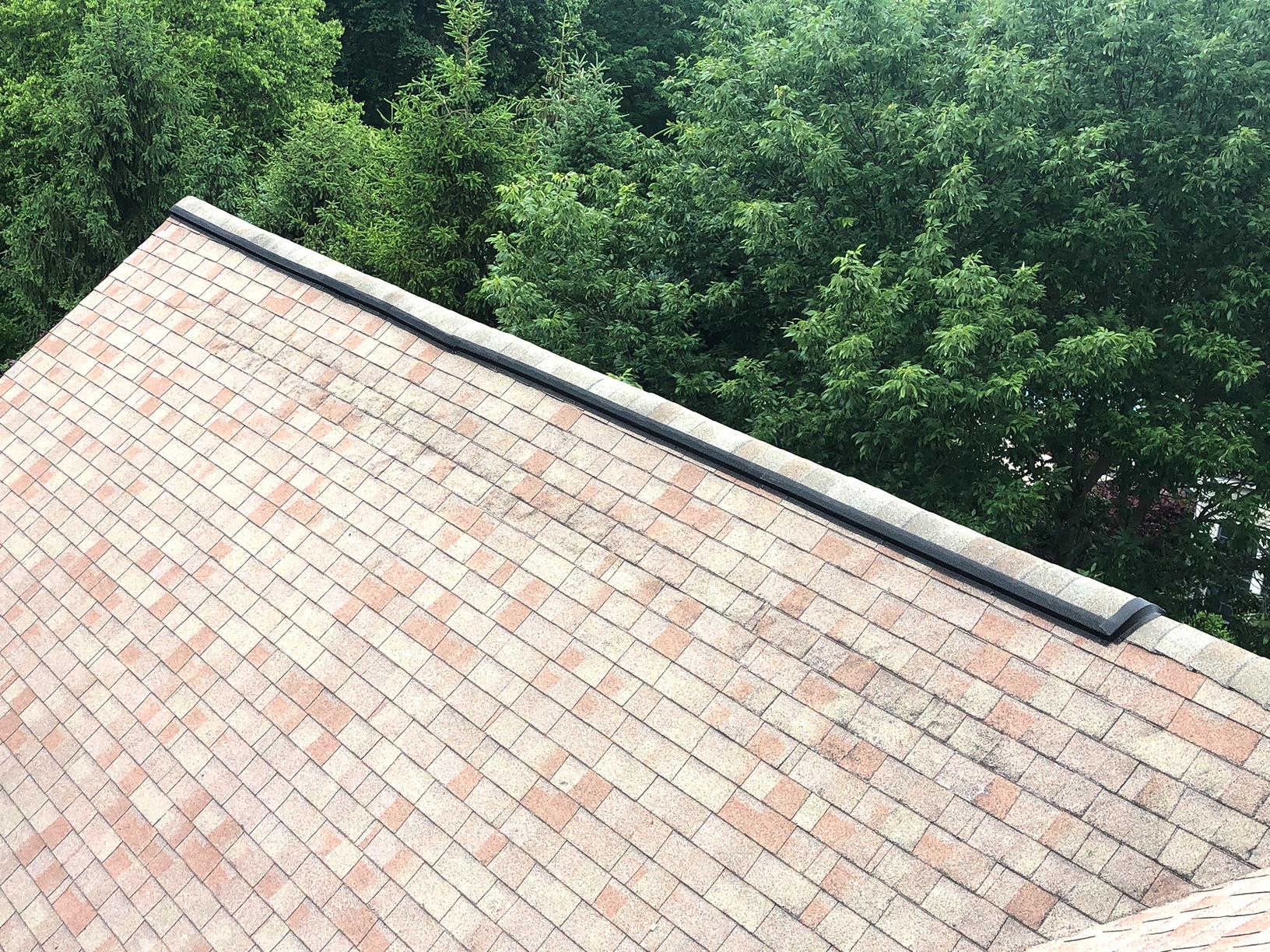 Wildlife Removal Wildlife Protection in Holmdel, NJ What's a RIDGE