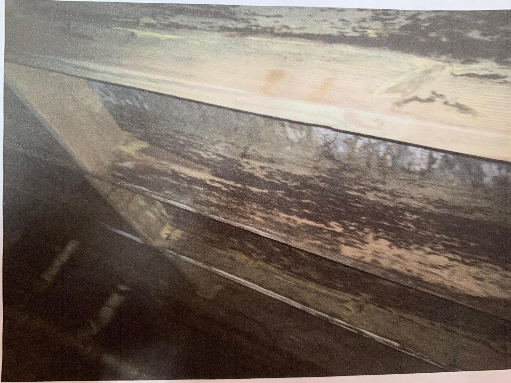 Mold Spores in Glenwood, Ar Wood Deformation and Decay