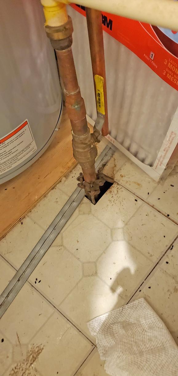 Pests We Treat Closet Full of Mice in Asbury Park, NJ The Pipe Chases