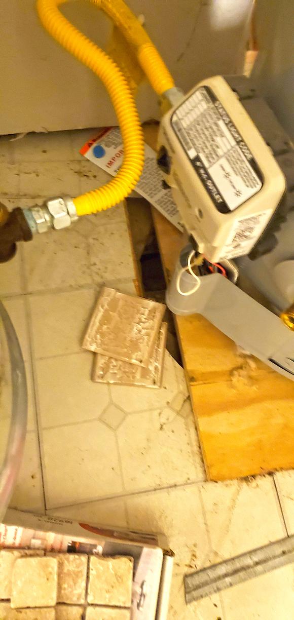 Pests We Treat Closet Full of Mice in Asbury Park, NJ Opened the Closet