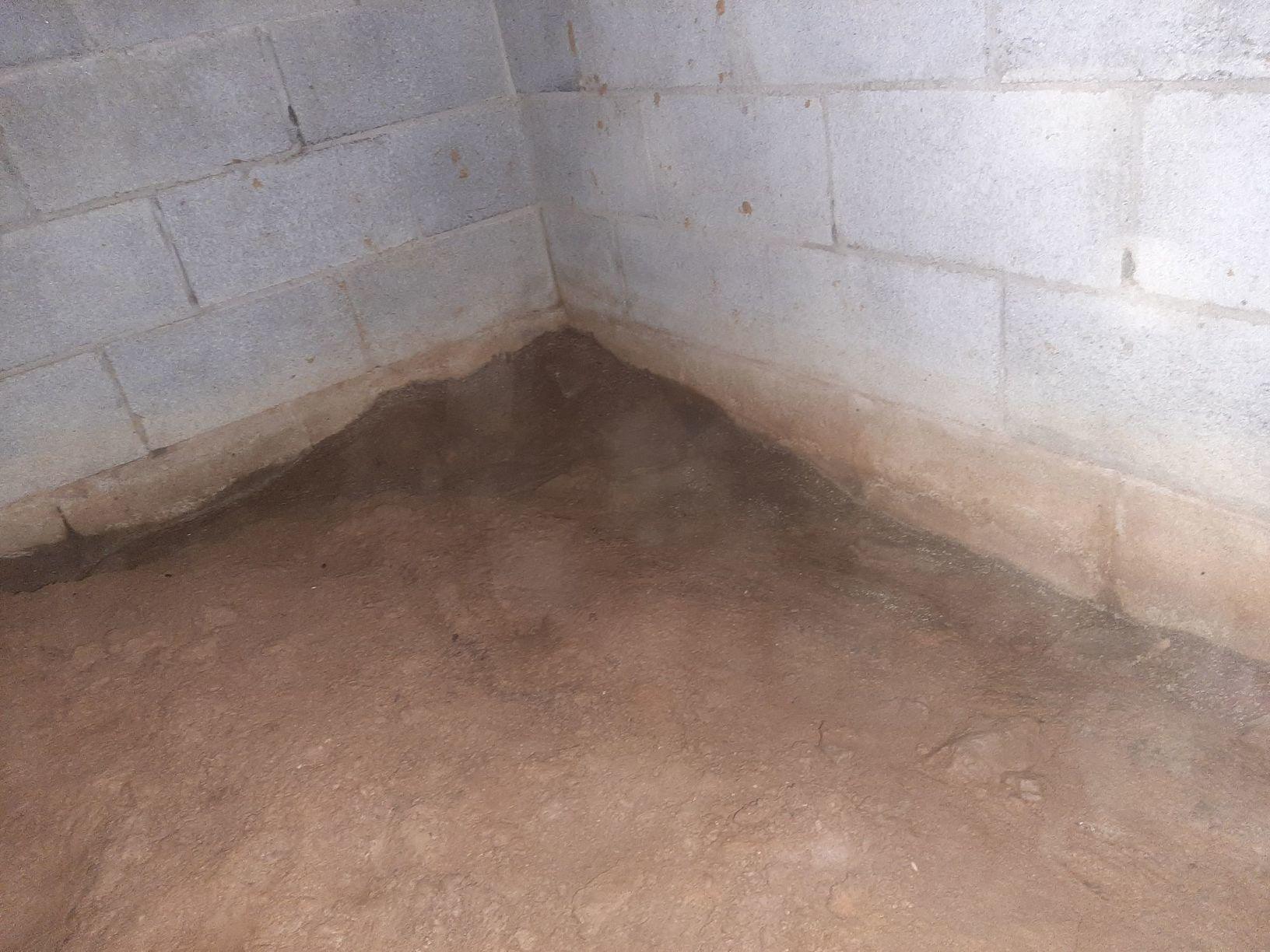 Waterproofing and Foundation Support in Hopkinsville, KY Damp Crawl Space