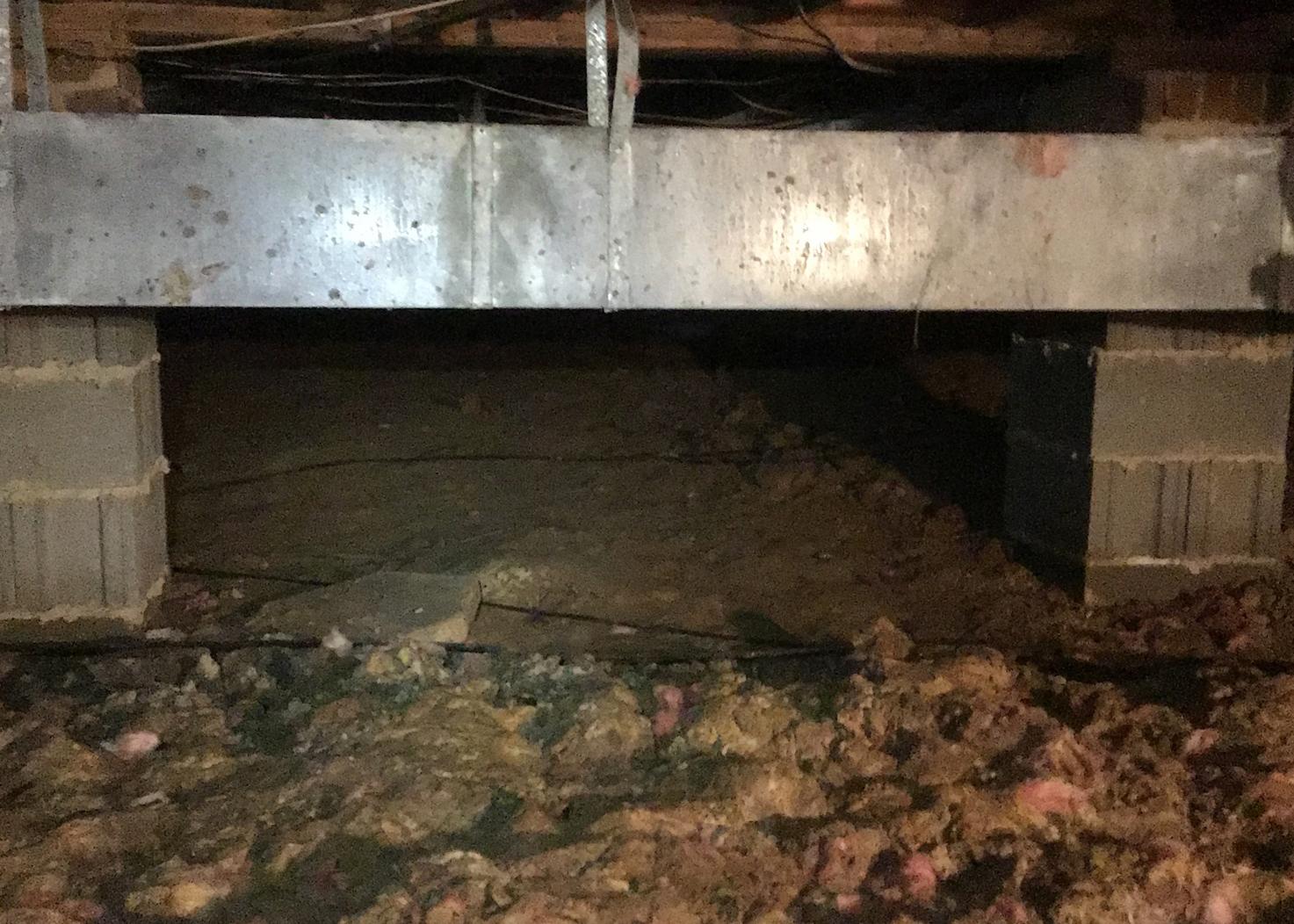 Southeast Foundation & Crawl Space Repair Crawl Space Repair Photo Album Getting Rid of a
