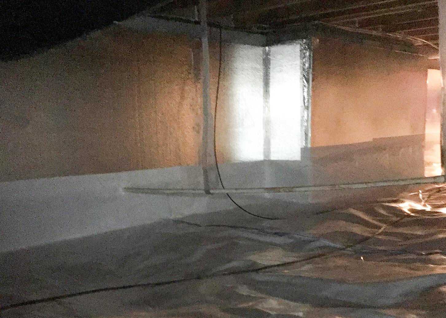 Crawl Space Repair Getting Rid of a Fungus Issue in Crawl Space of