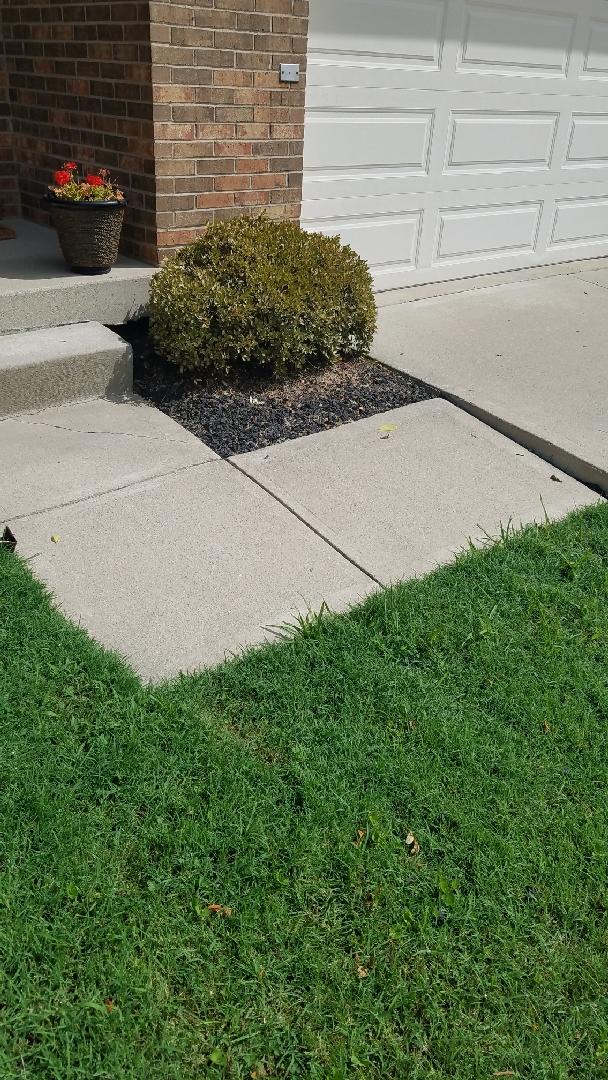 Concrete Lifting and Leveling A sunken corner of a sidewalk is raised