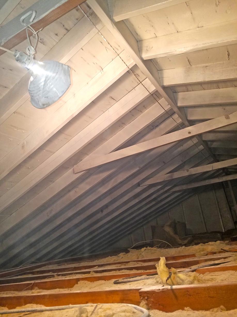 Our Mold Removal Services Mold Across Attic Rafters in Colts Neck, NJ