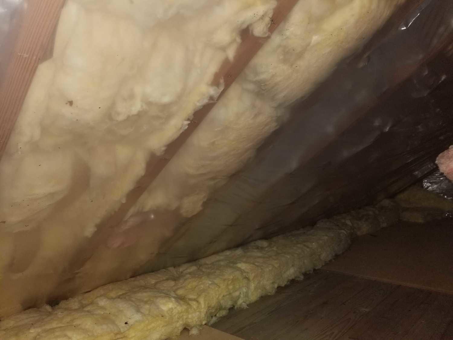 Attic Mold Removal, Ypsilanti Mold attached to insulation