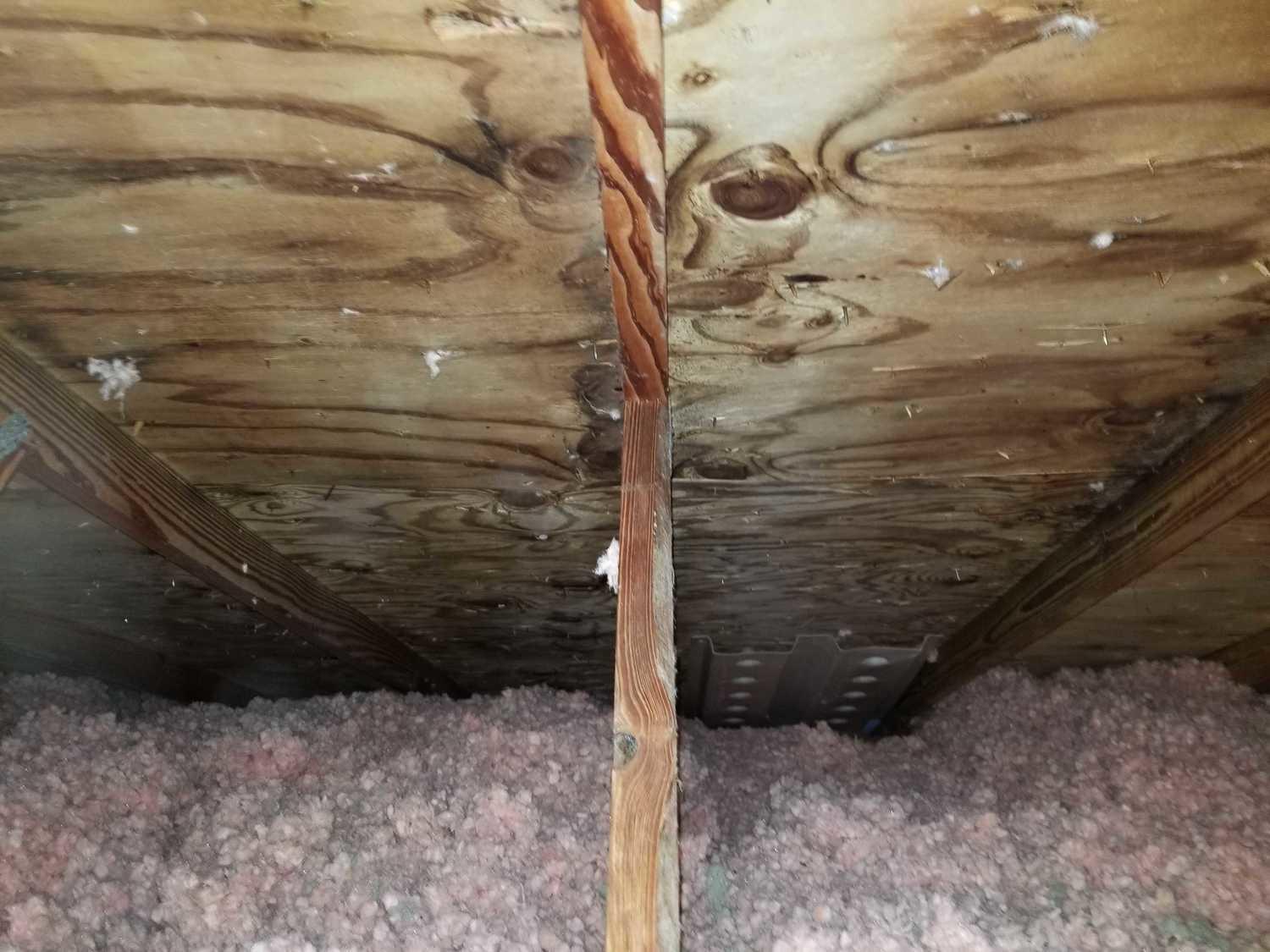 Attic Mold, Chelsea - Attic boards with visual mold