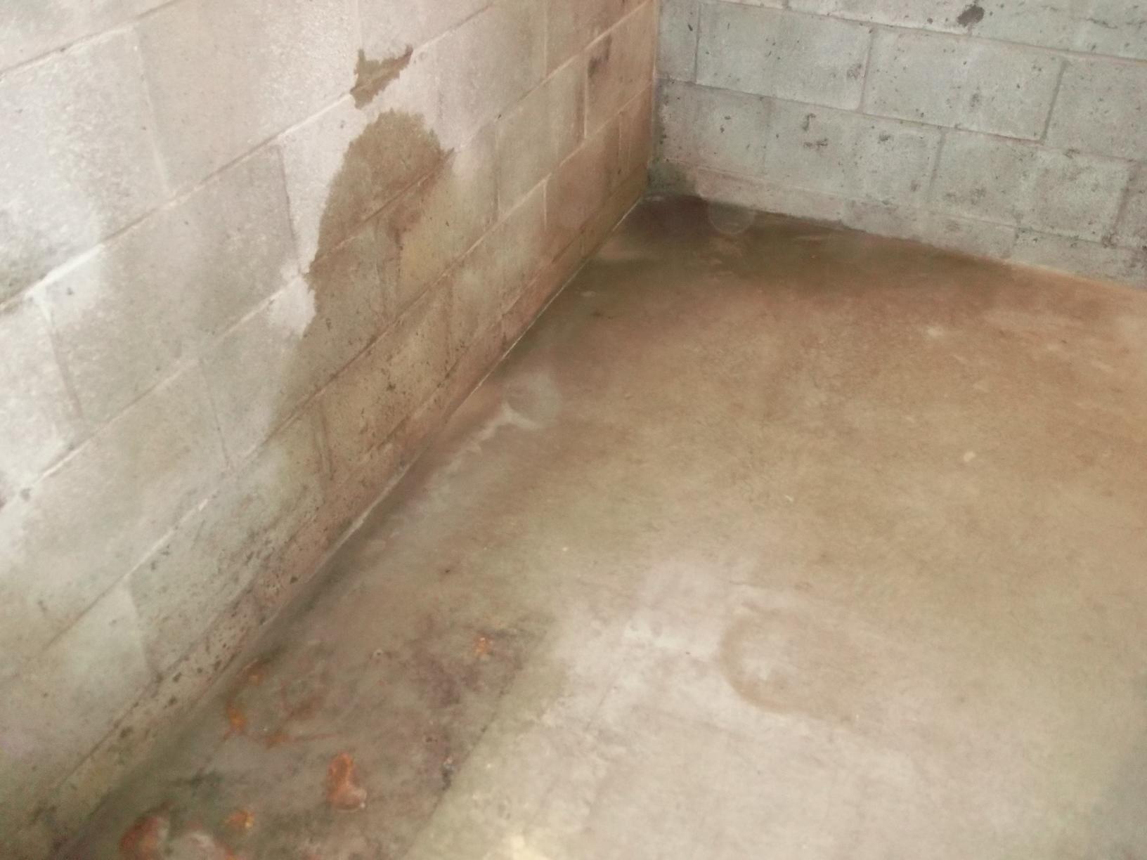 Basement Waterproofing North Huntingdon Basement Waterproofing Damp Basement Walls