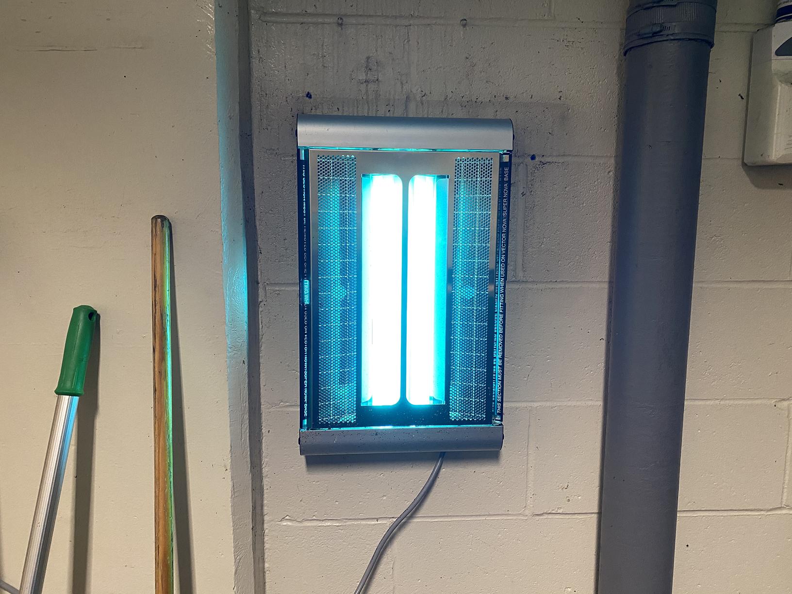 Pests We Treat The Effectiveness of a FlyLight in Mantoloking, NJ