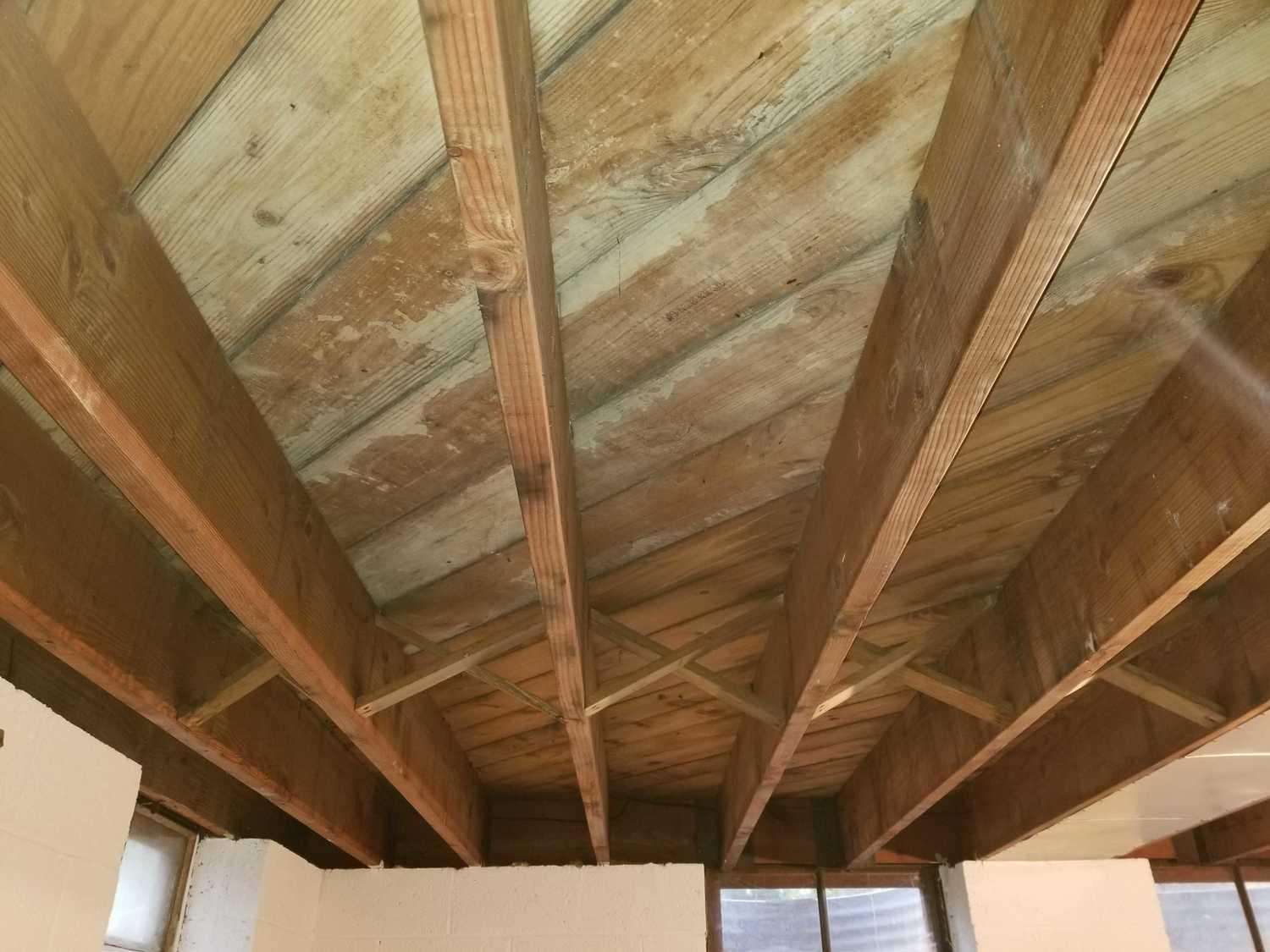 Mold Removal Redford, MI 48240 Basement beams
