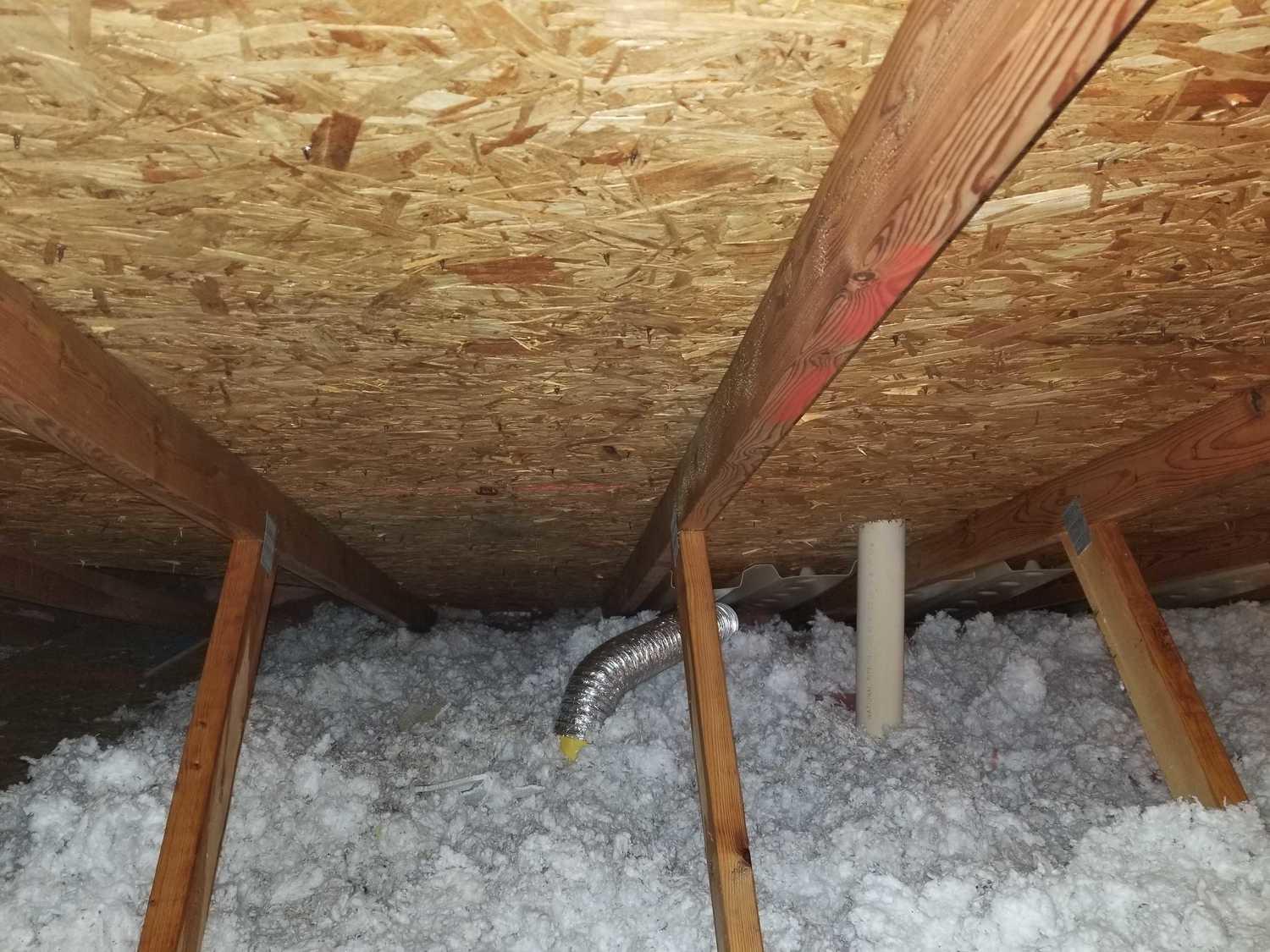 Mold Removal Brighton Michigan 48114 bathroom fan vent