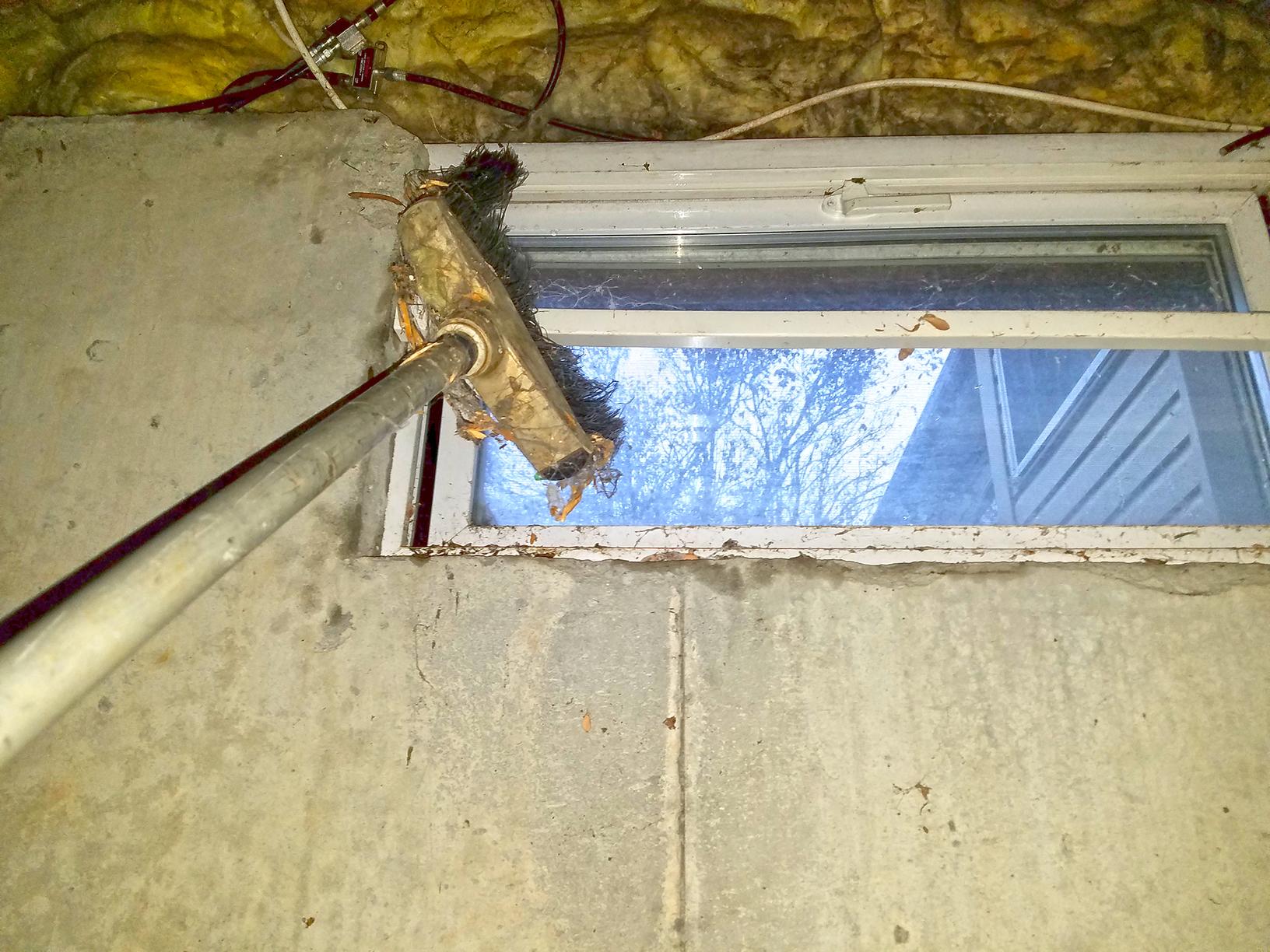 Pests We Treat Basement Full of Spiders in Freehold, NJ Brush Away