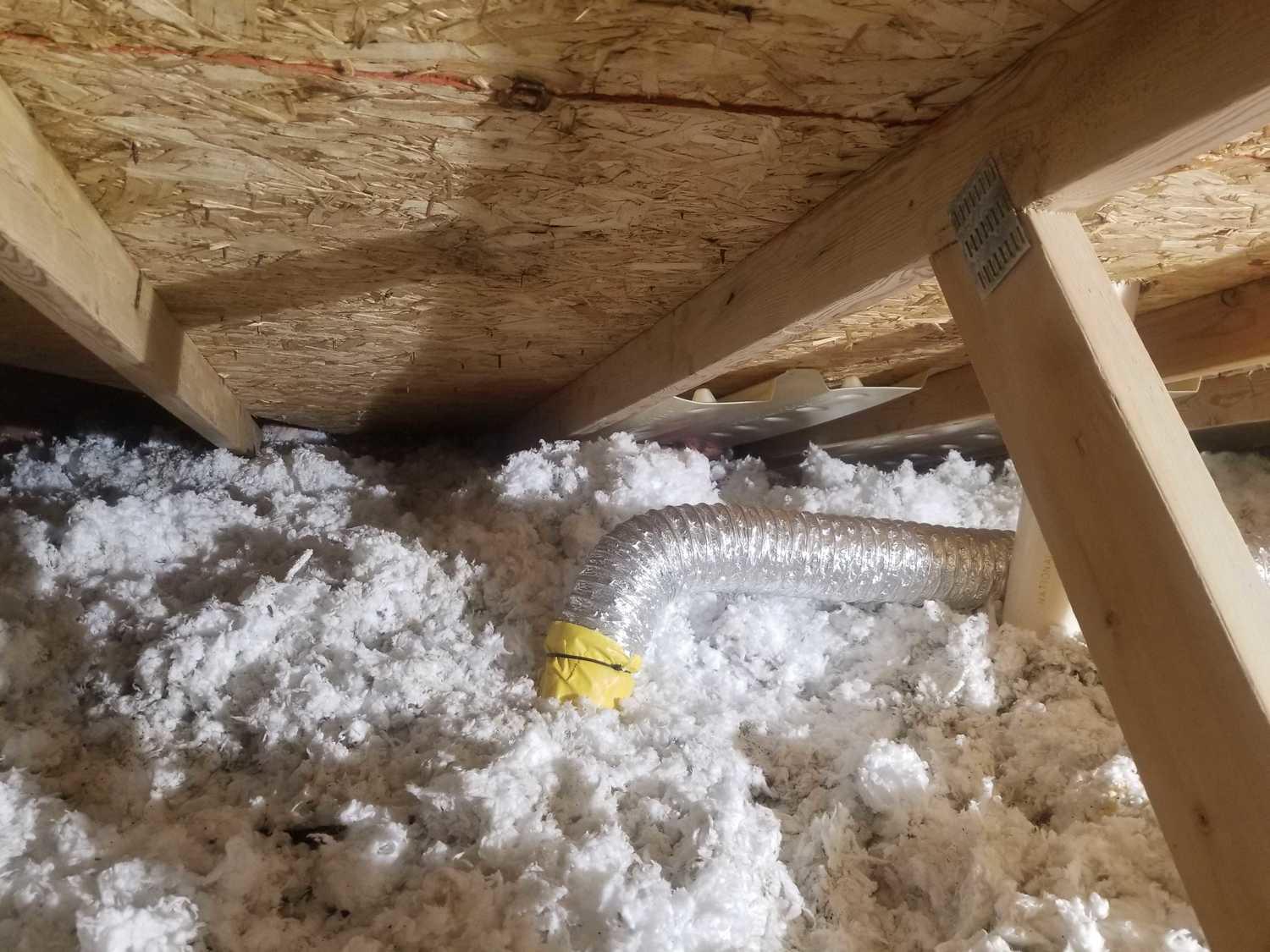 Mold Removal Attic Mold Remediation, Brighton Showing new vent pipe for bathroom fan exhaust