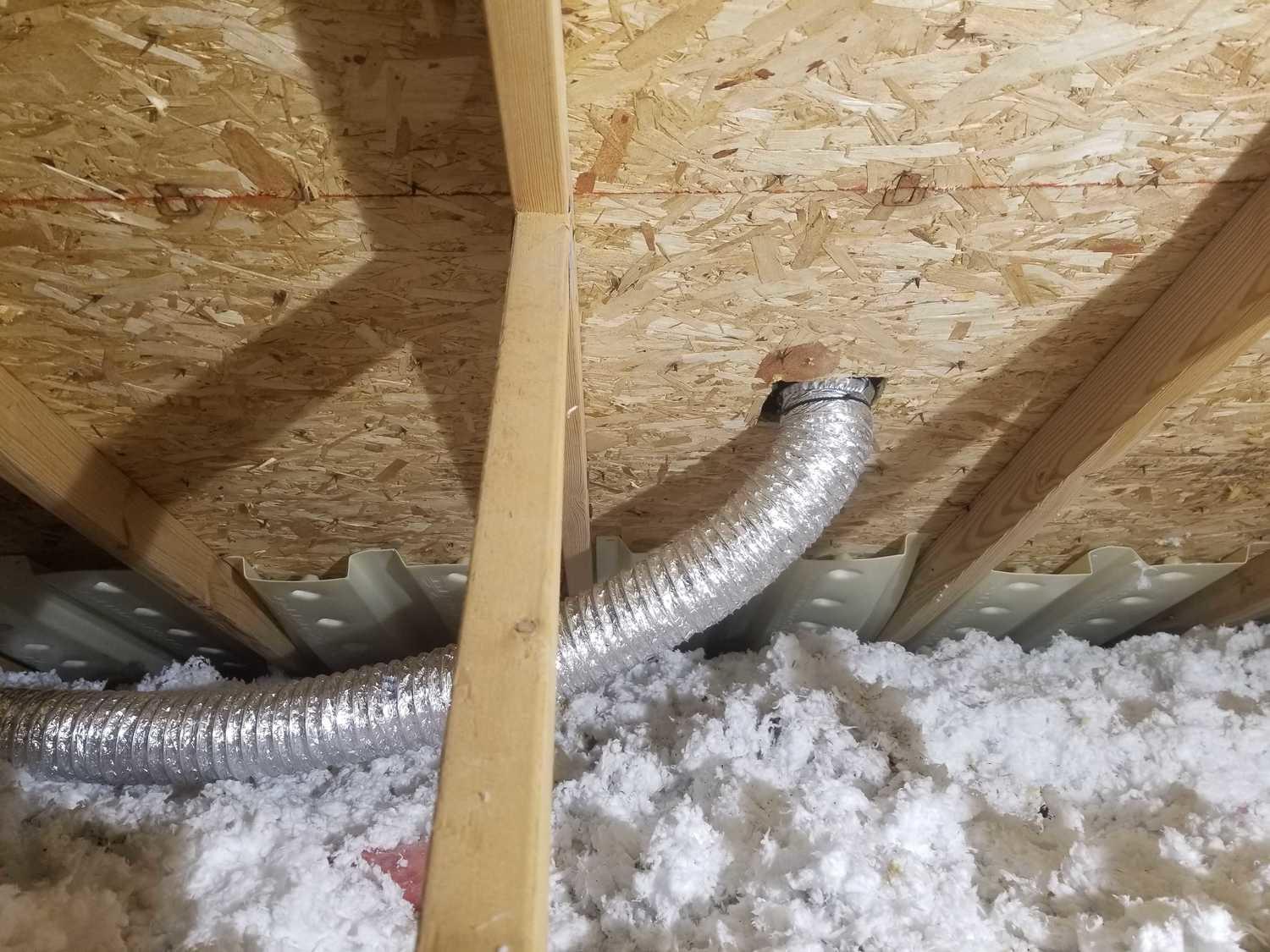 Mold Removal Attic Mold Remediation, Brighton new bathroom fan exhaust