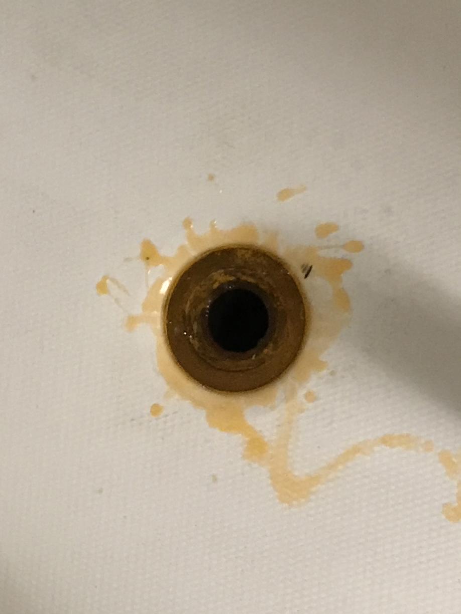 Pests We Treat Drain Flies in Old Shower Drain in Old Bridge, NJ