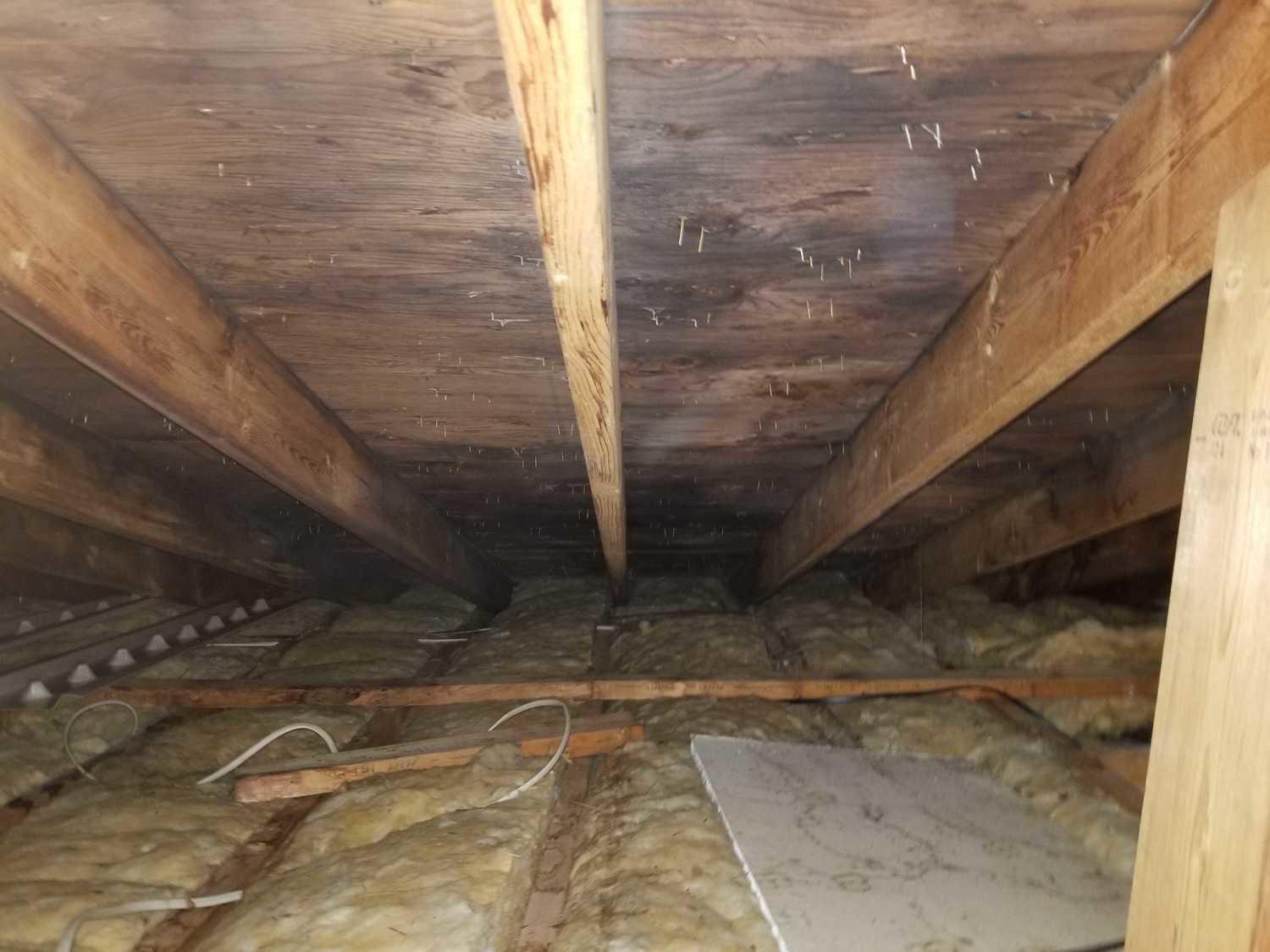 Pegboard Ceiling at Mariko Drummond blog