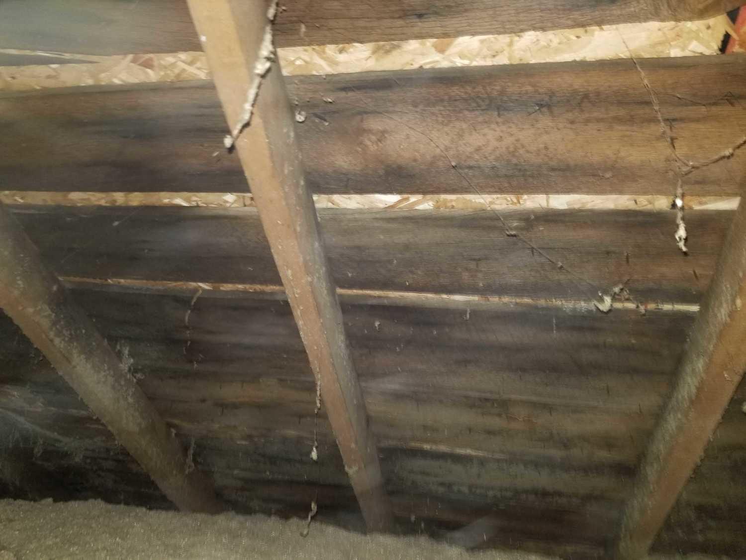 Remediation of Mold, Fowlerville Attic boards after mold remediation