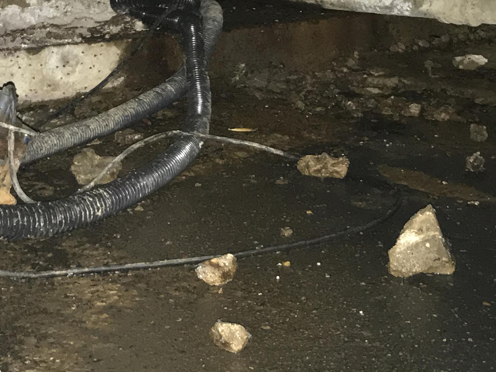 Pests We Treat Crawl Space Filled with Drain Flies in Matawan, NJ