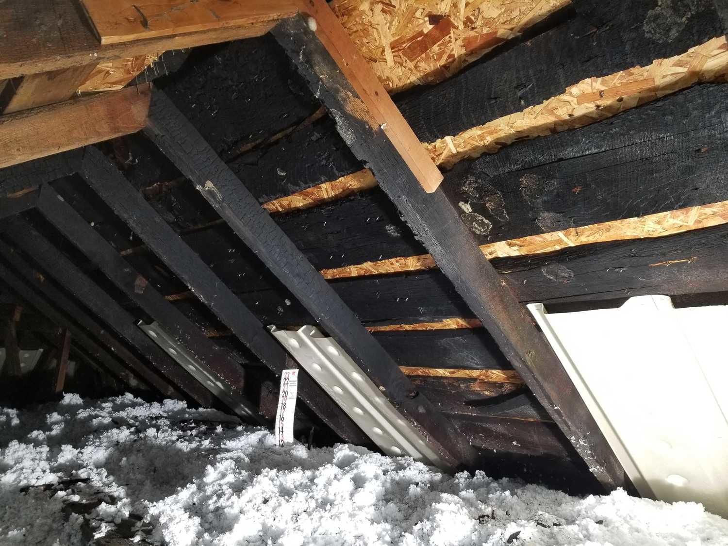 Mold Remediation, Fowlerville Attic beams mold remediated