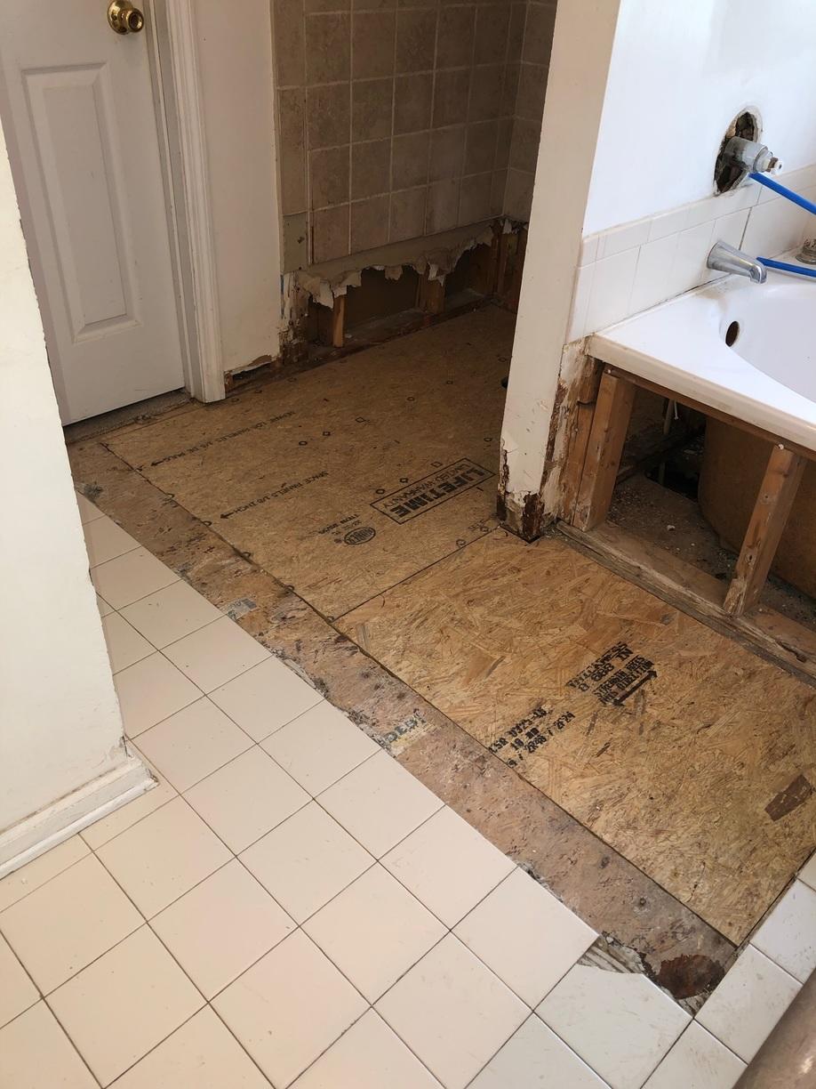 Mold Problems Wood Subfloor Replacement in North Charleston, SC