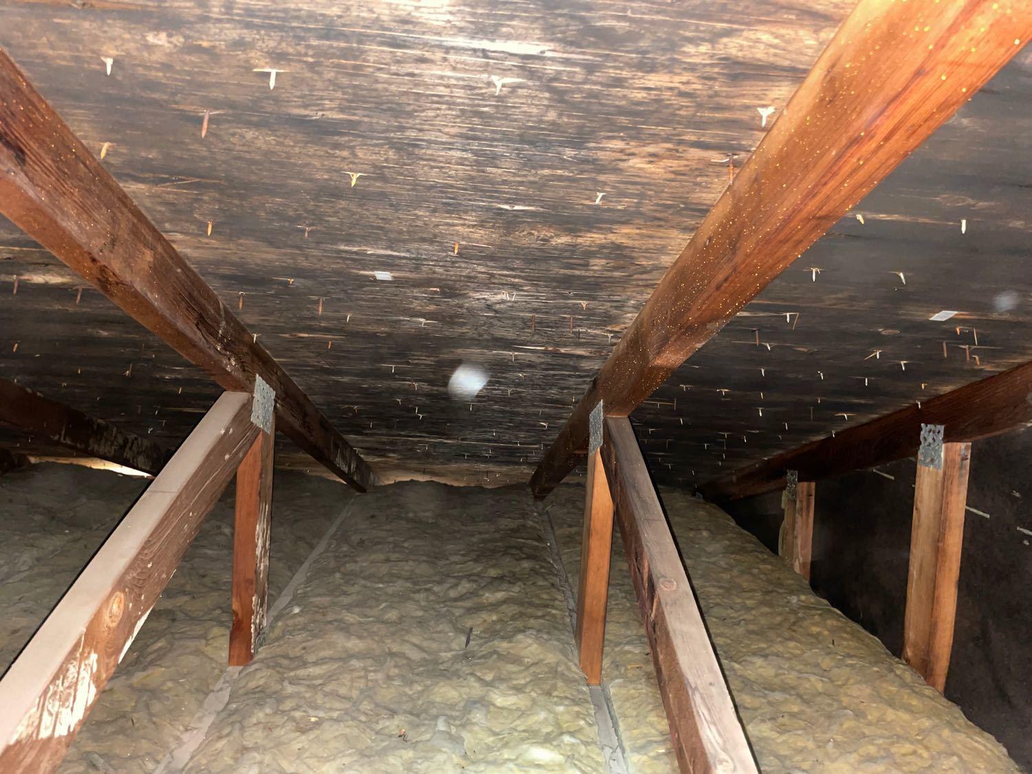 Mold Removal Attic Mold Removal Livonia MI 48154 Attic boards