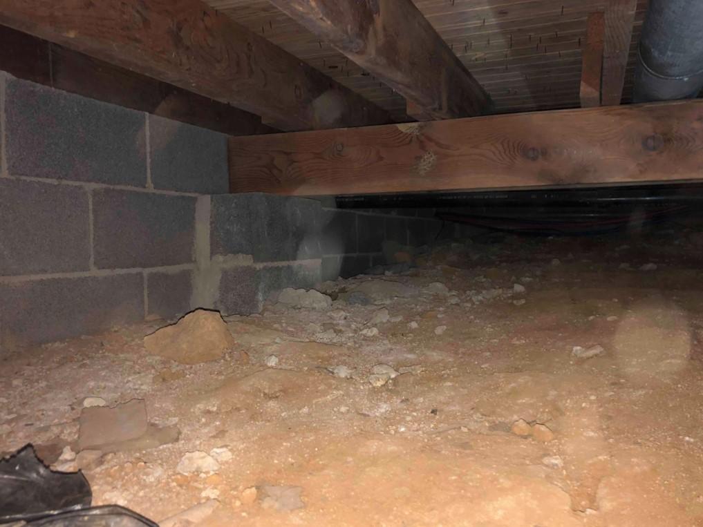 Moldy Crawlspace Encapsulation in Boone, NC Moldy Wood Joists