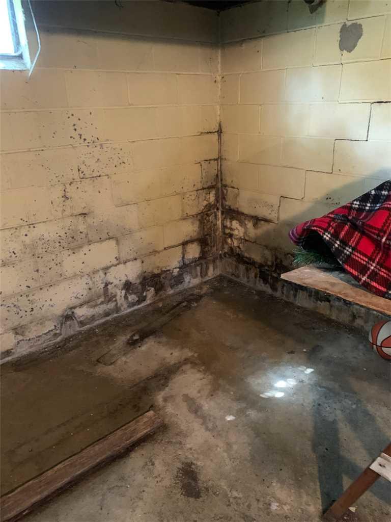 Basement Waterproofing Wet and Moldy Basement in Hopwood, PA Mold