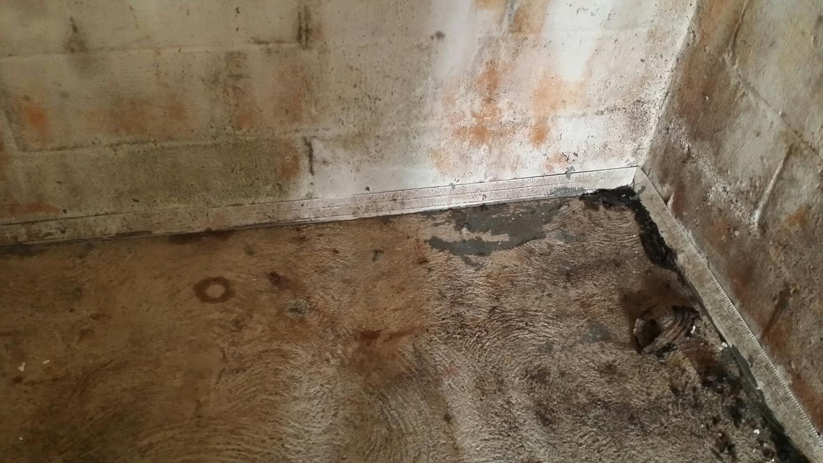 Basement Waterproofing Wet moldy garage in Darien Moldy walls