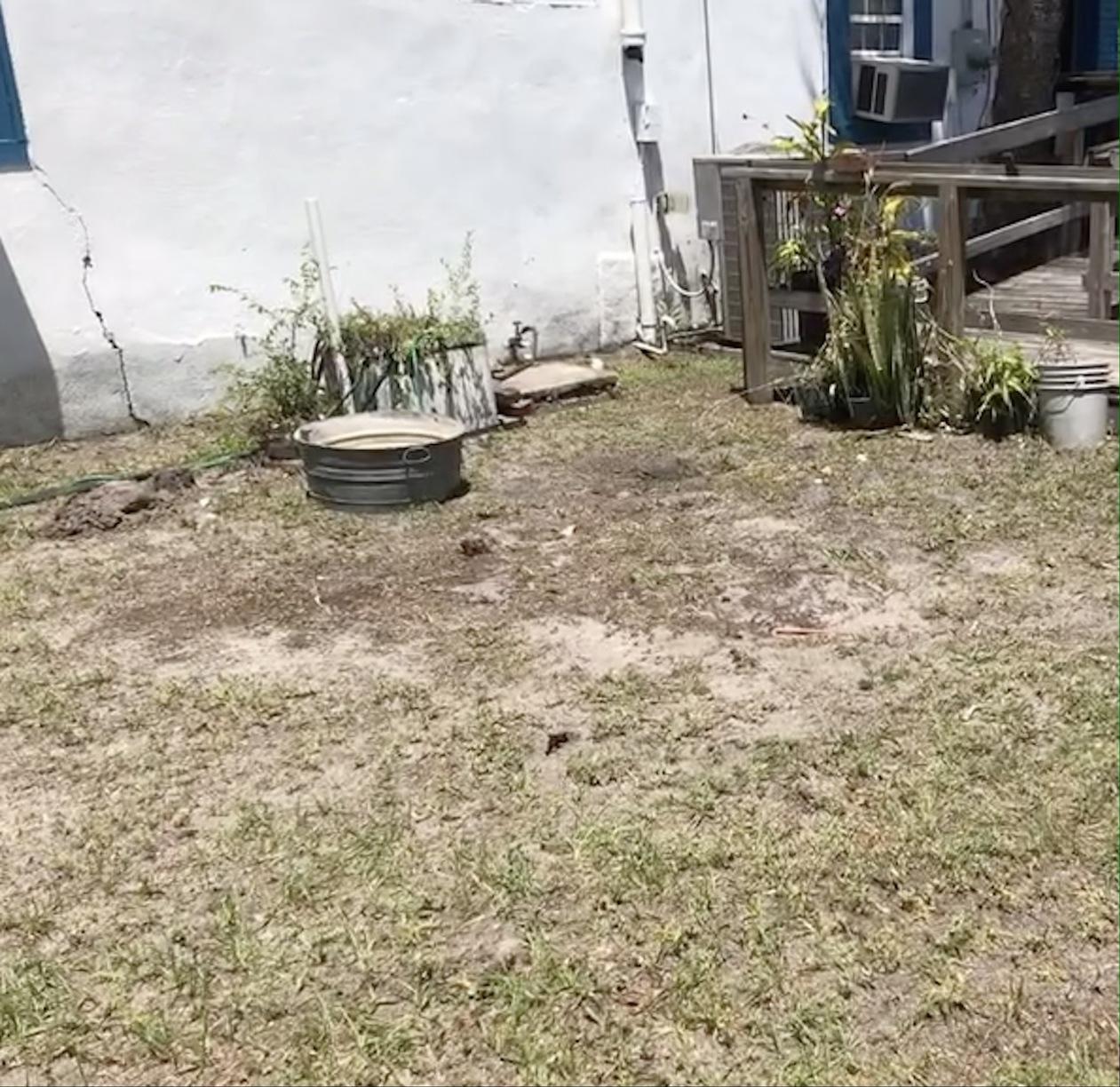 The Junkluggers of Northeast FL - Yard Debris & Waste Removal Photo