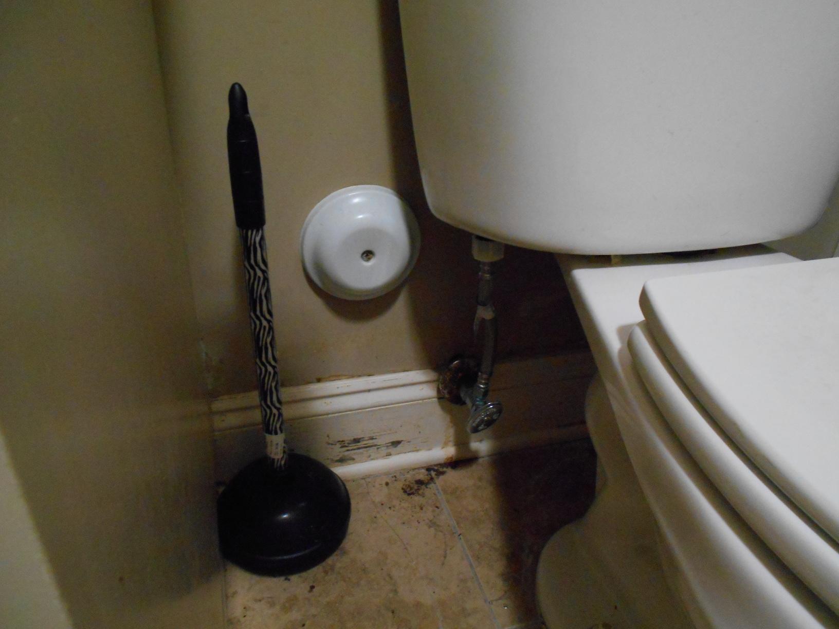 Water Damage Water Damage in Trussville, AL Toilet Supply Line Leak