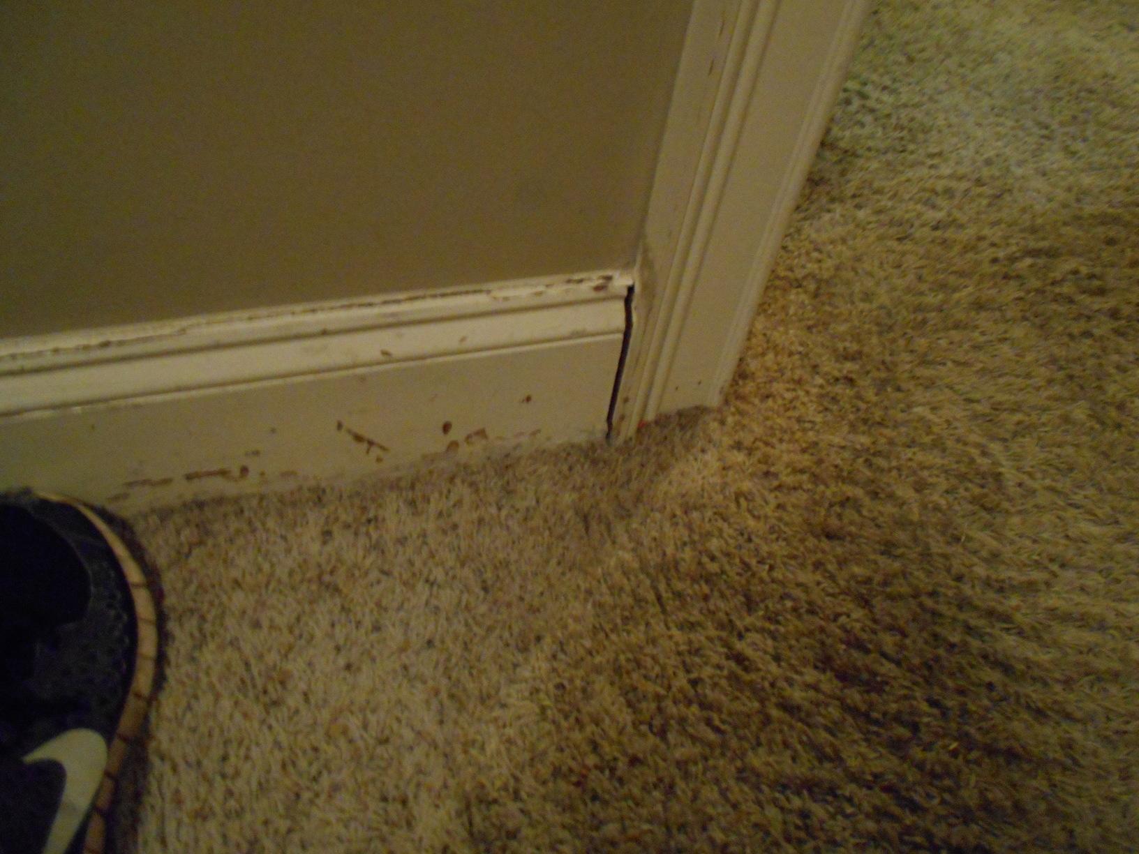 Water Damage Water Damage in Trussville, AL Damage to Baseboard