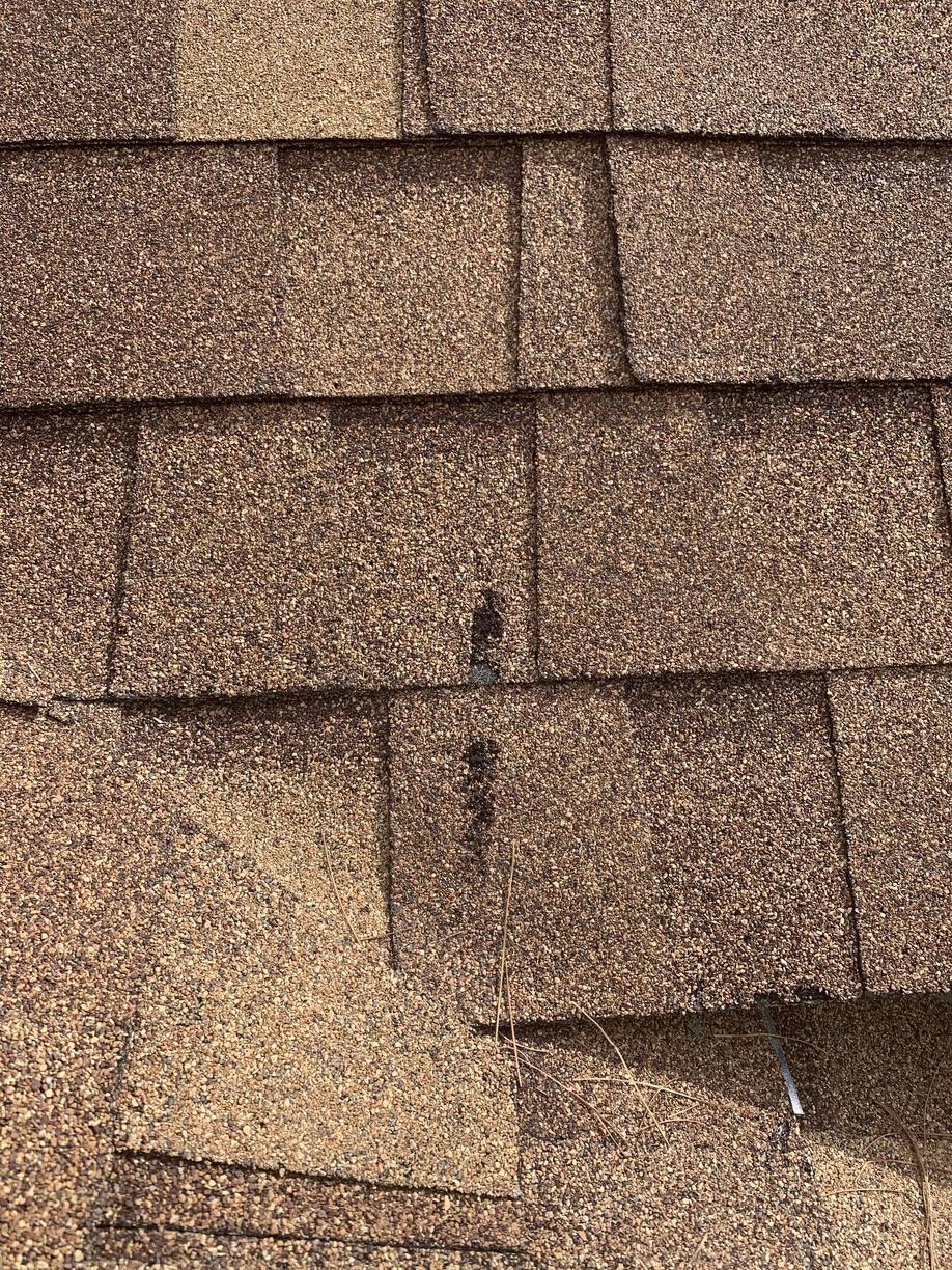 Brand New Roof in Need of Replacement in West Greenwich, RI Premature