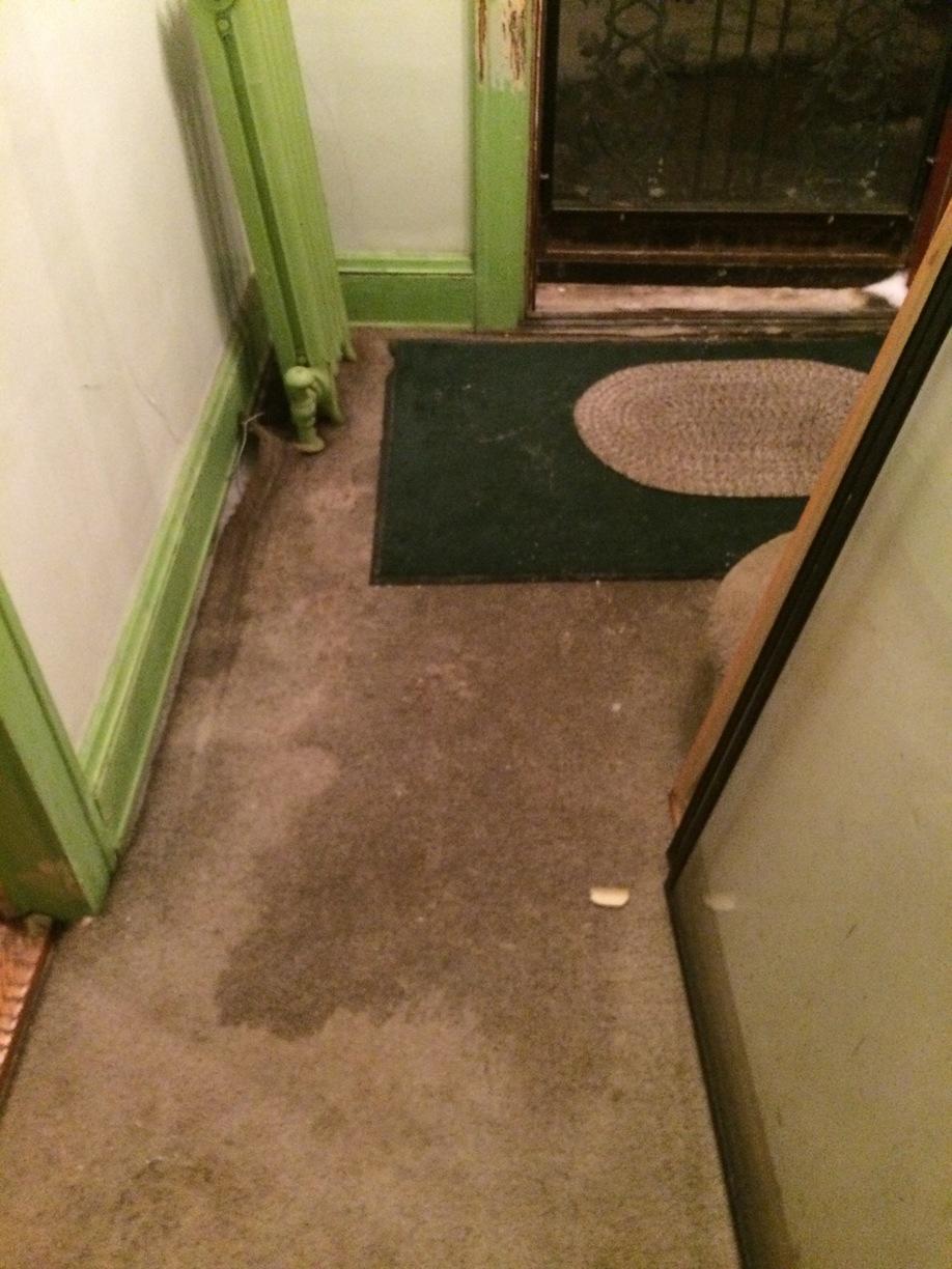 Entire 3 Story Home Water damage in Cleveland Ohio. Wet carpet in hallway