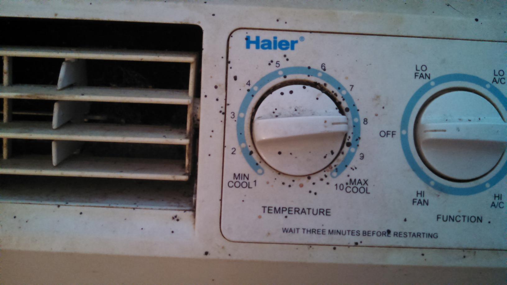 Pests We Treat Bed Bugs in Asbury Park, NJ Bed bug stains on window