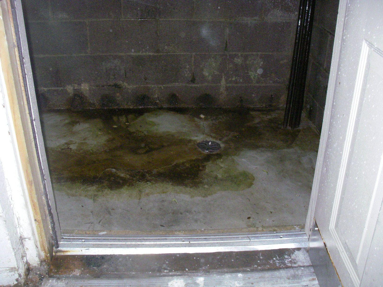 Basement Waterproofing Basment in Newark, DE Mold by the drain