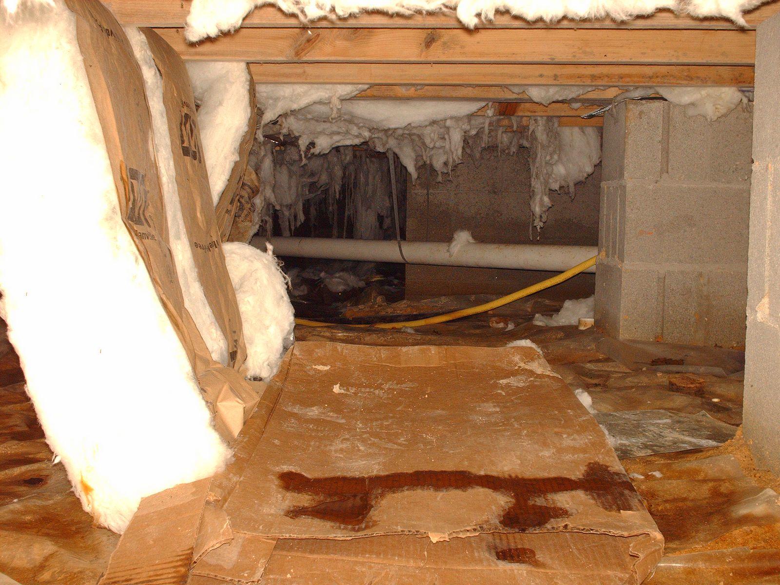 Crawl Space Repair CleanSpace Liner System in Harbeson, DE The