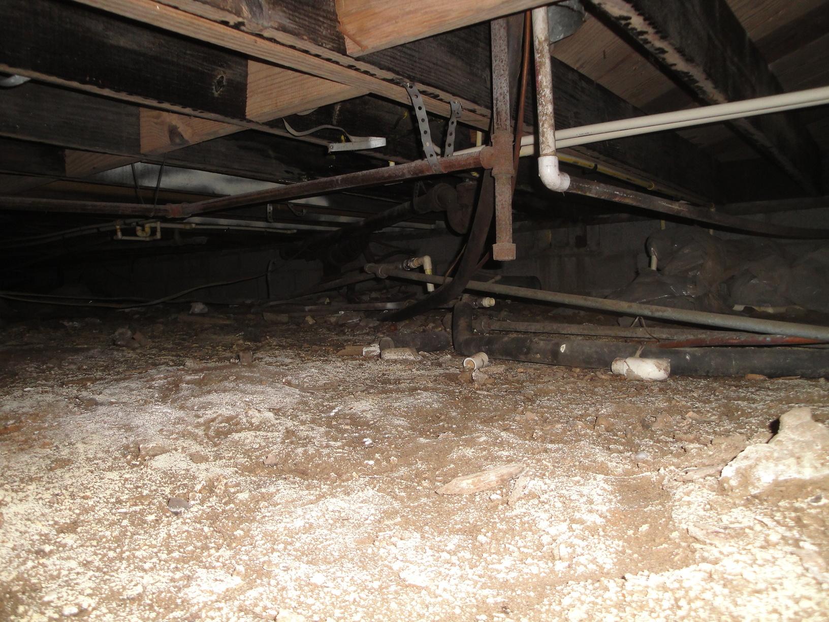 Crawl Space Repair Dirty Crawl Spaces Mold