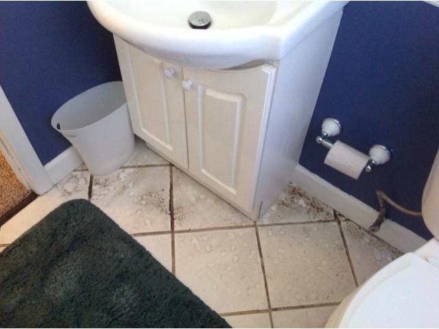 Residential Restoration Frozen Pipe Break Cleanup In Wickliffe