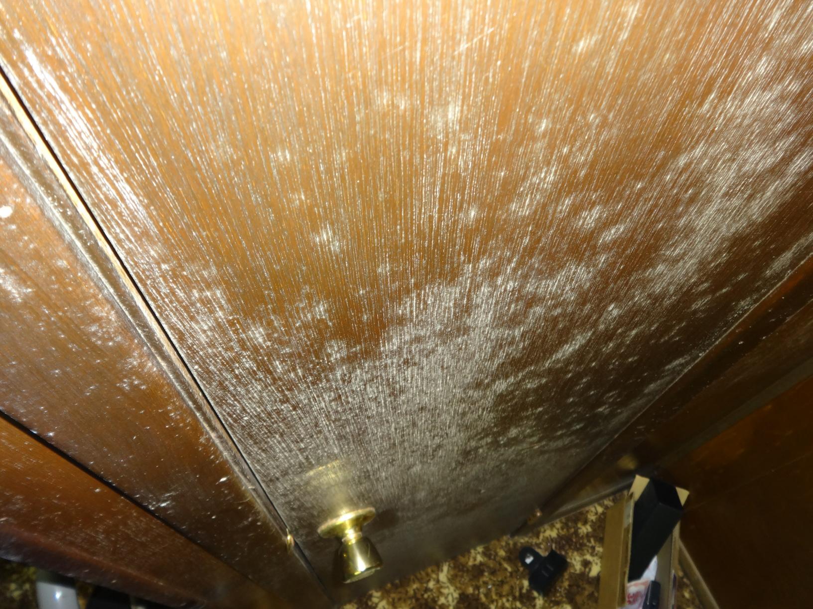 Mold remediation in Chagrin Falls, OH basement Door covered in mold