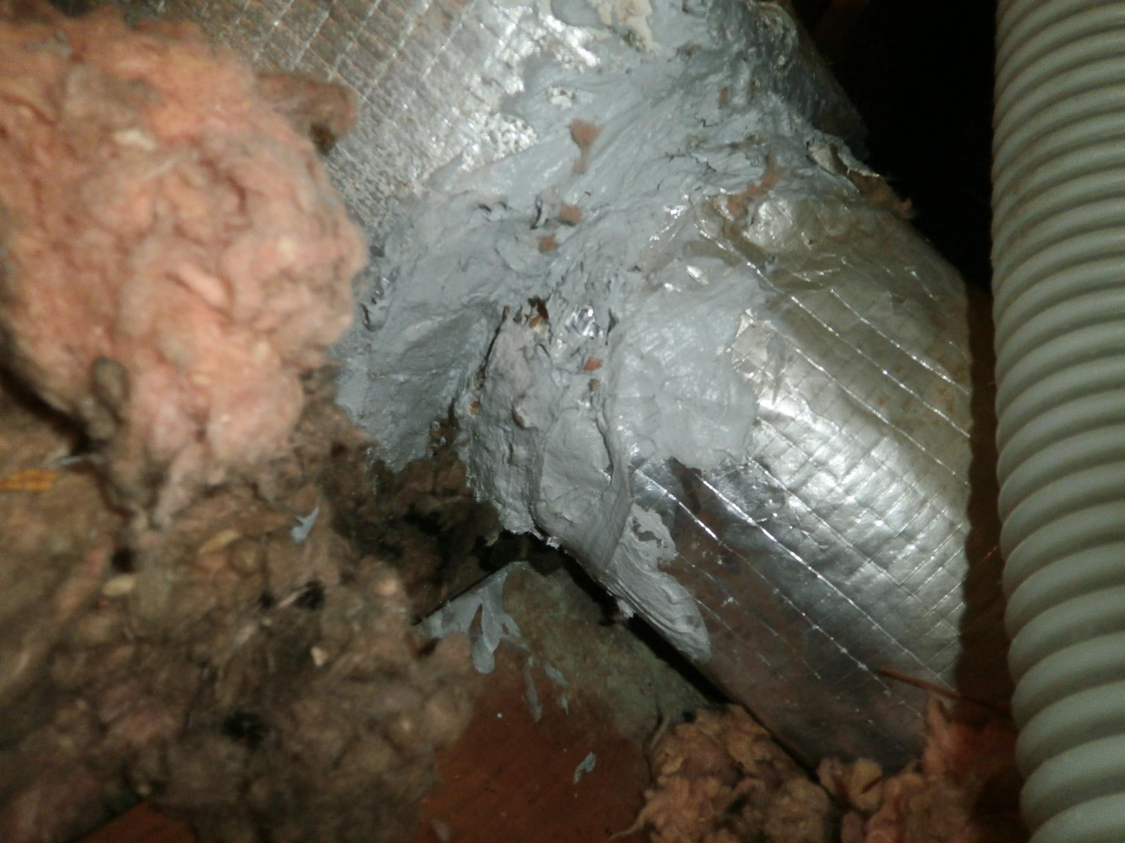 Insulation Services Cellulose and Mastic Work Mastic