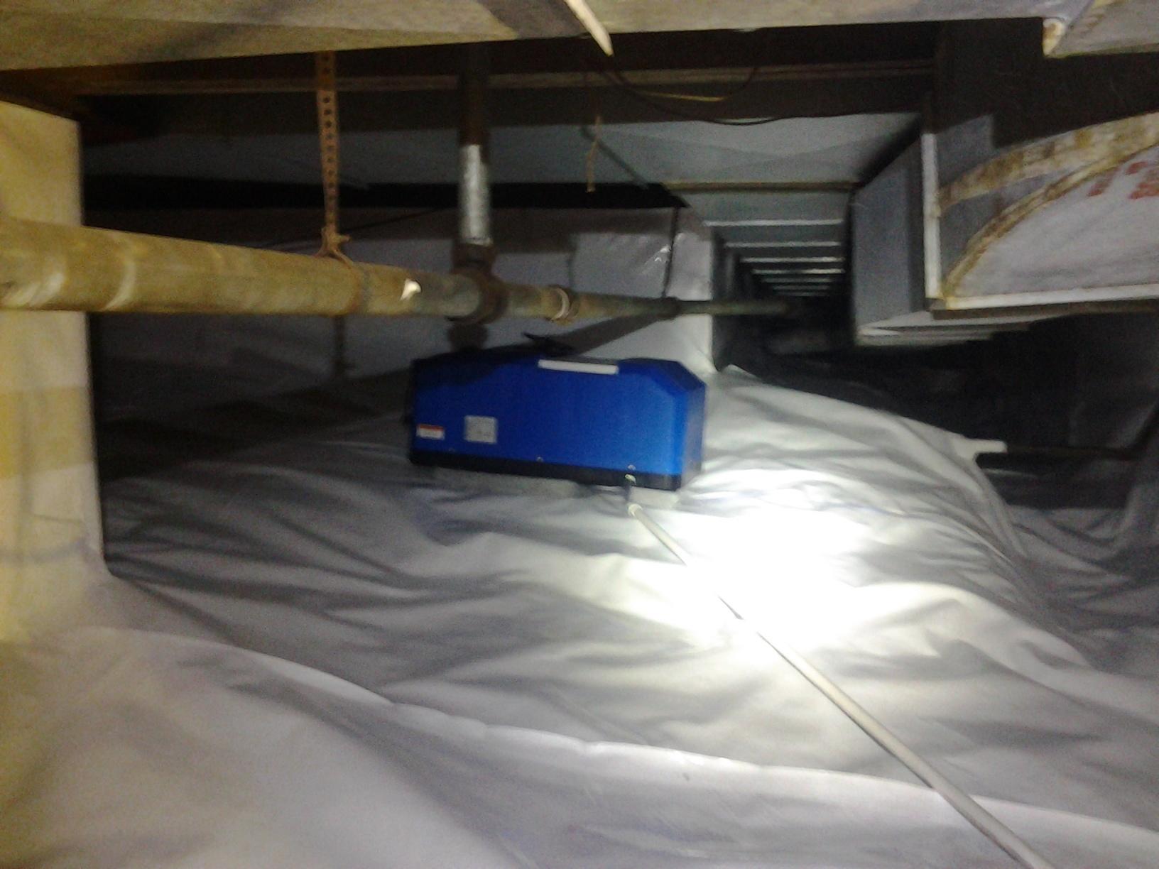 Crawl Space Repair Cleanspace in Glasgow, KY Mold X