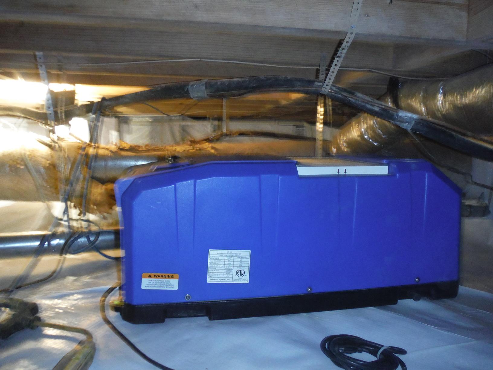 Crawl Space Repair Mold in Fairview, TN MoldX