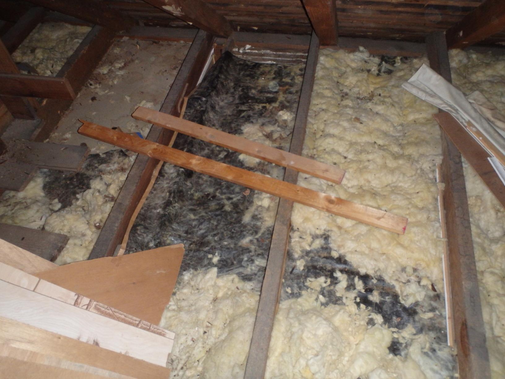 Home Insulation Services - Removing Old Attic Insulation in Still Pond ...