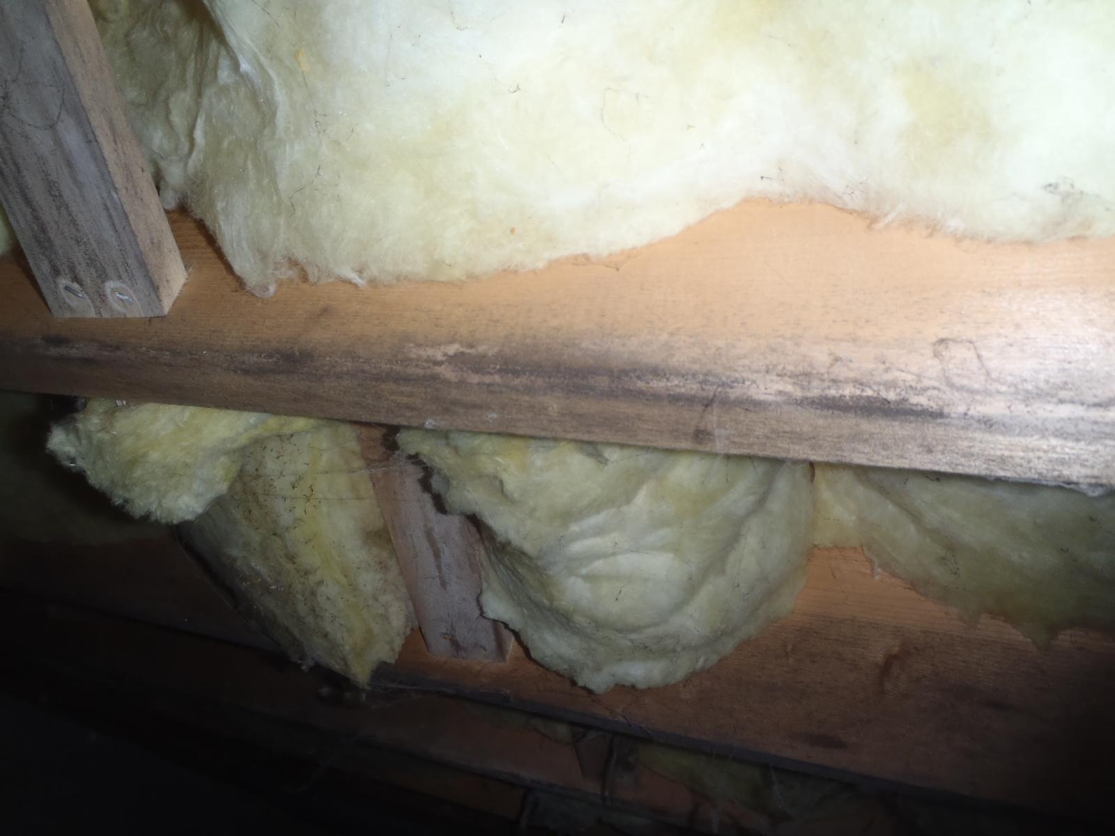 Home Insulation Services Vented Crawl Space in Wittman, MD Sagging