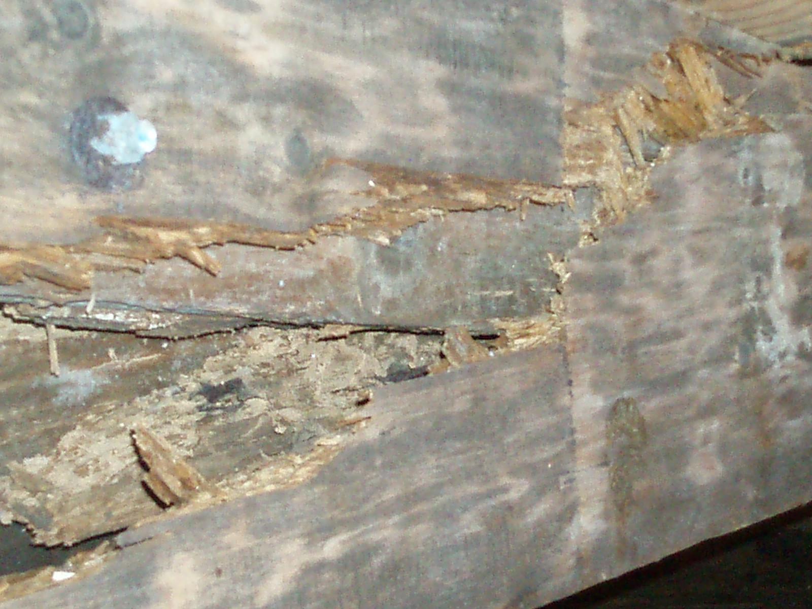  Really bad, broken support beam under a home in Seaford, DE