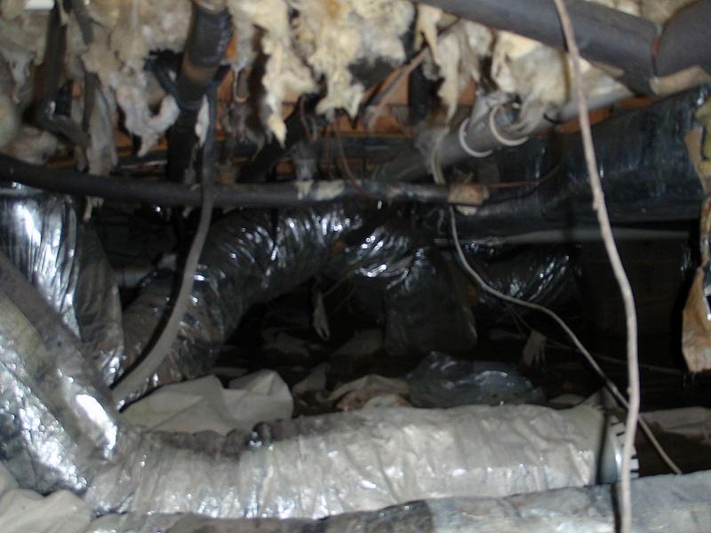 Crawl Space Repair Cheswold, DE Crawlspace transformation Air ducts