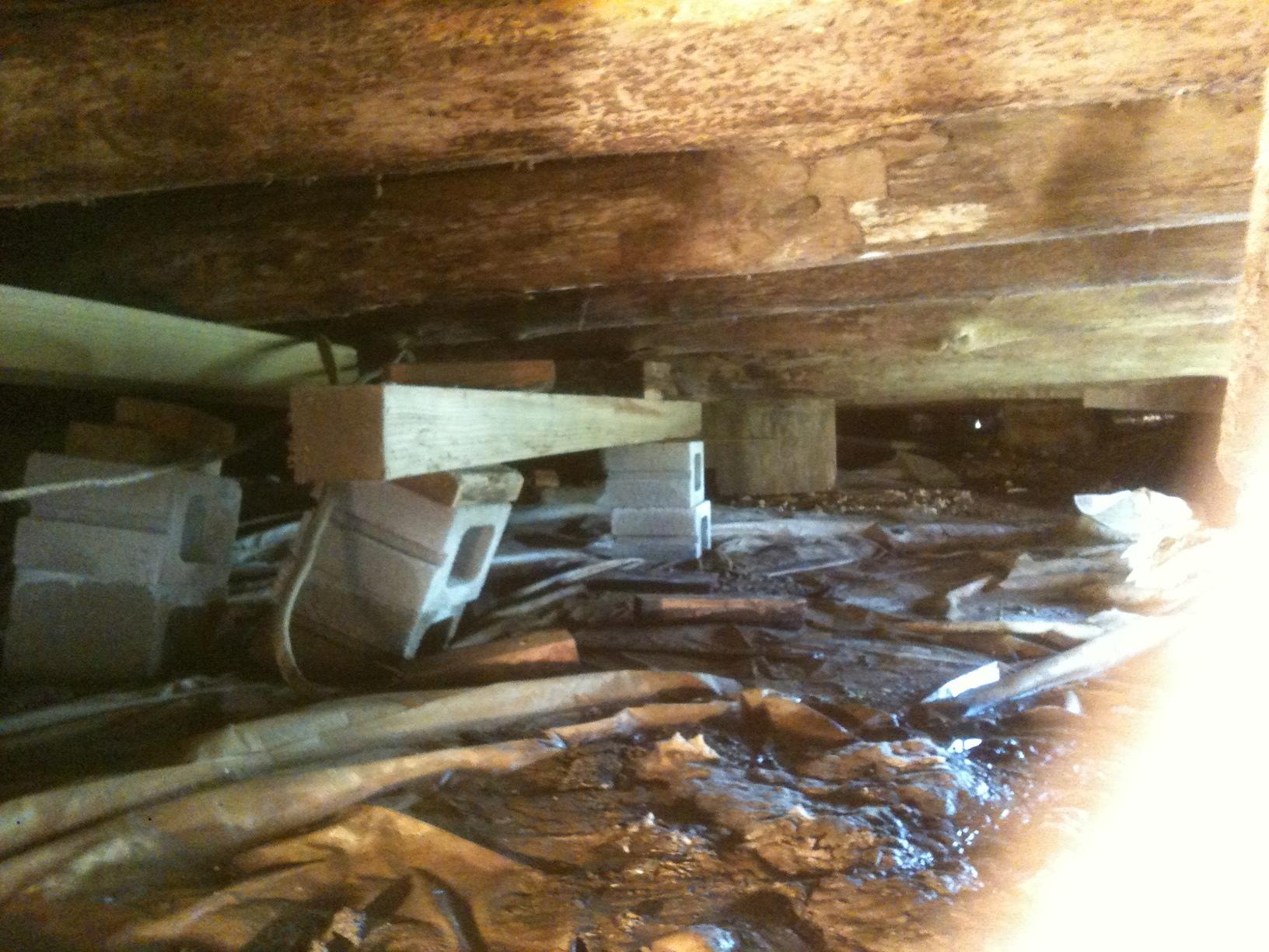 Dresden tennessee county image