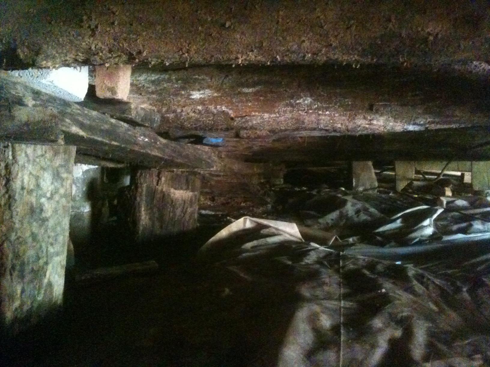 Essays dresden tn 06 picture