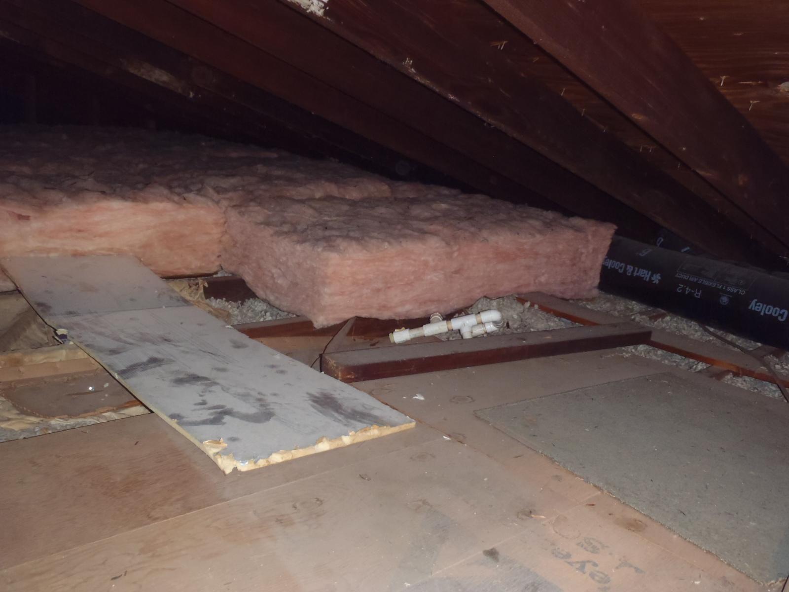 Home Insulation Services Installing TruSoft Cellulose Insulation in