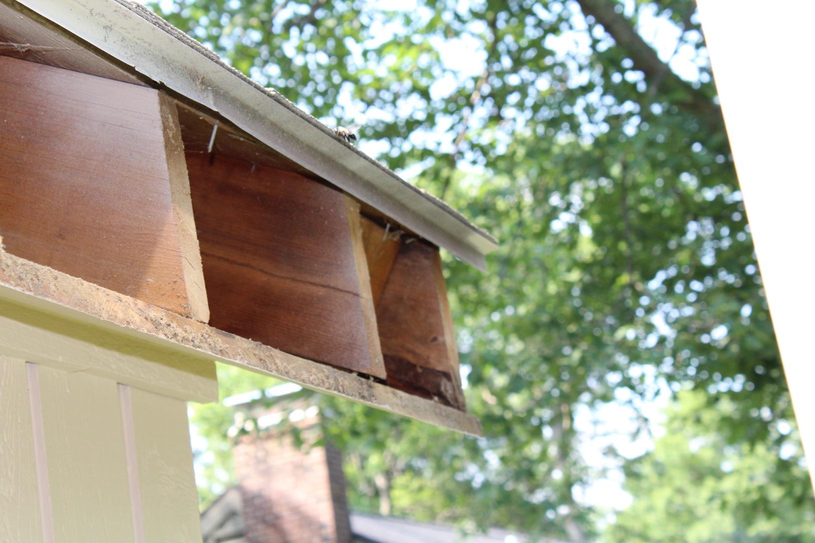 Roof Replacement Roof Replacement, Carpenter Bees, & Soffit